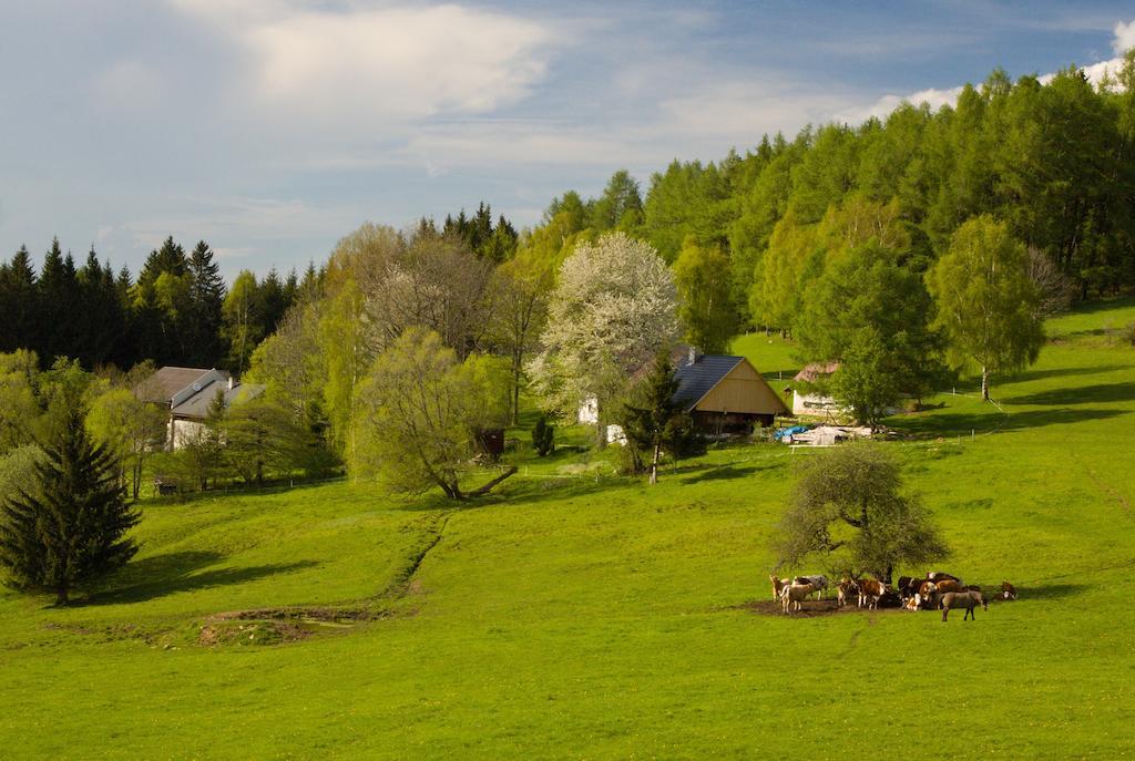 Penzion Stara Vapenka Svinná エクステリア 写真